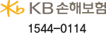 KB손해보험 1544-0114